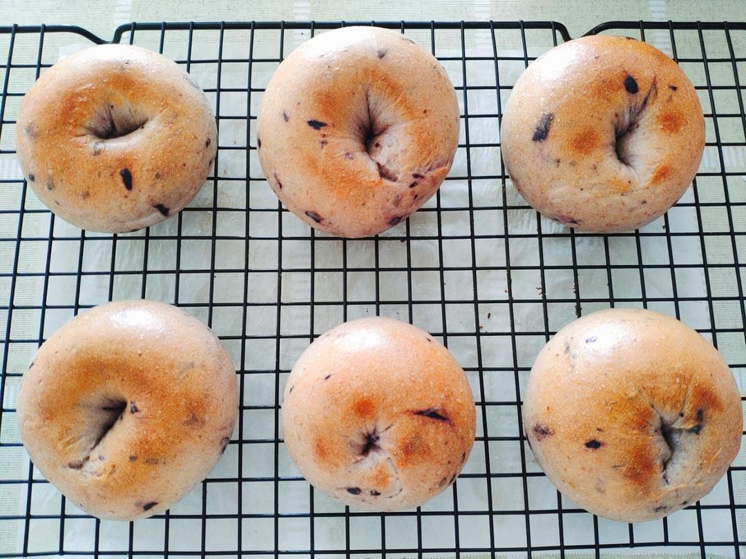 全麥藍莓貝果（無油糖）