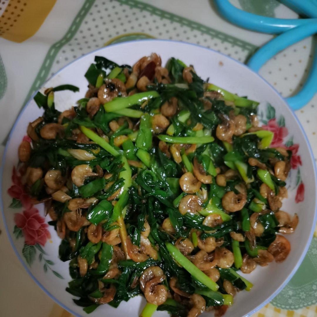 韭菜炒河虾，鲜美极了！一定要试一次