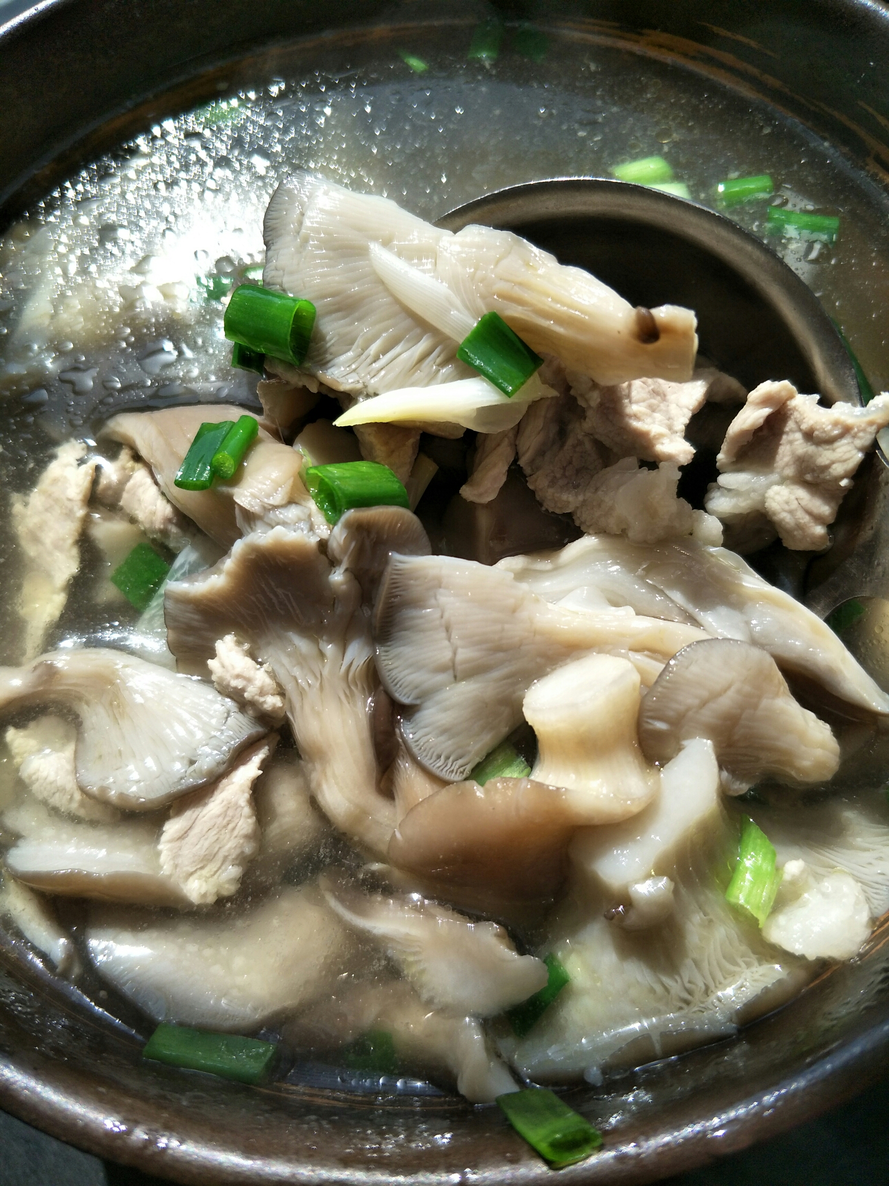 萍菇肉汤的做法