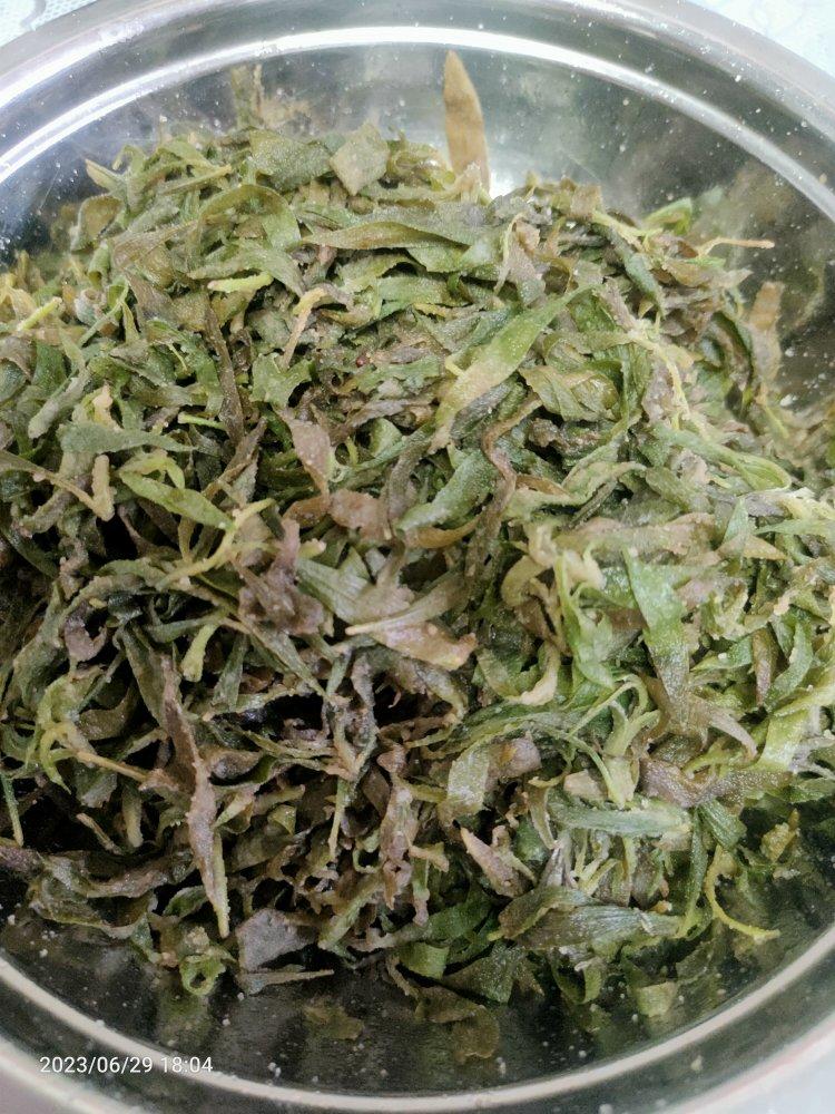 蒸面条菜（扫帚苗）