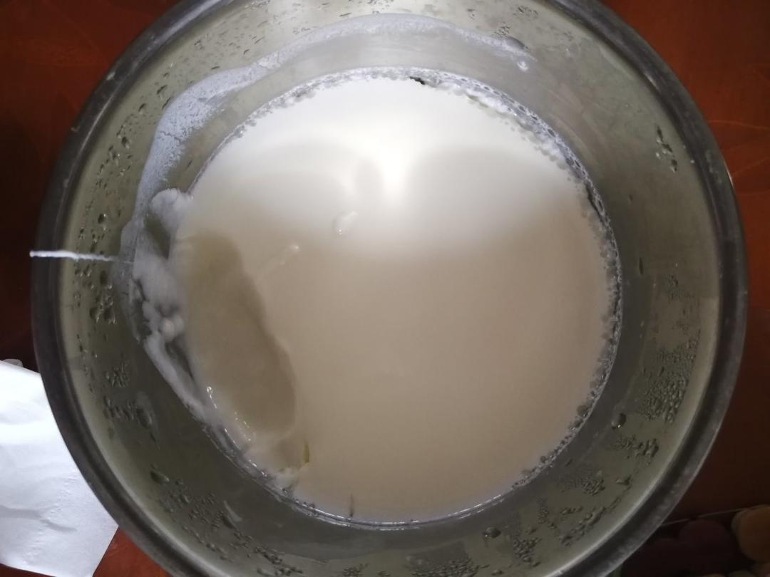 自制酸奶，不需菌粉/酸奶机/烤箱/电饭锅，一条毛巾就好