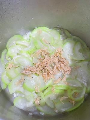 瓠瓜炒虾皮的做法 步骤2