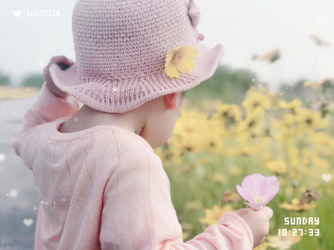 有梦想的小刺猬