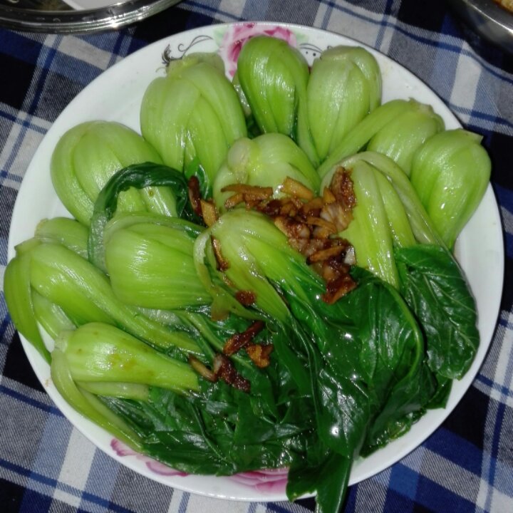 蚝油油菜