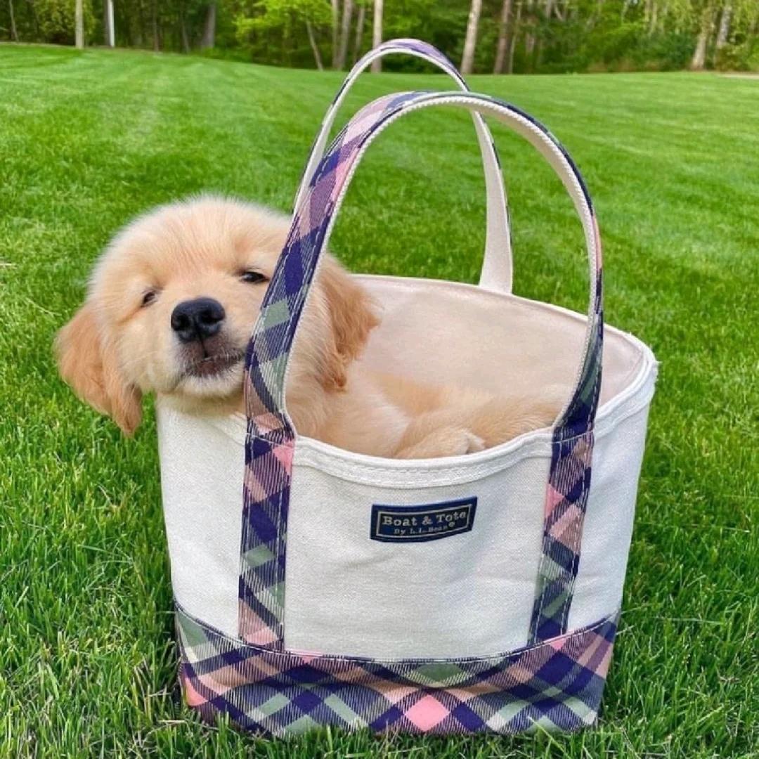 妥匪陀耶夫斯基