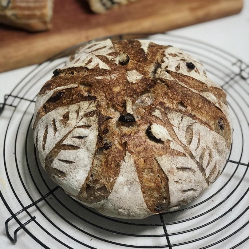 懒总揉包记录超级可爱的【黑麦硬欧】