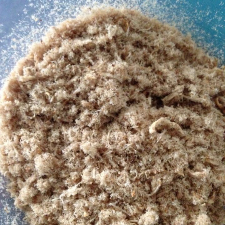 家庭自制肉松（非面包机版）