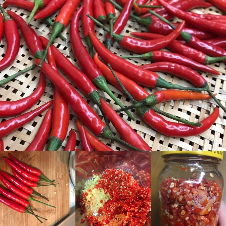 自制蒜蓉辣椒酱