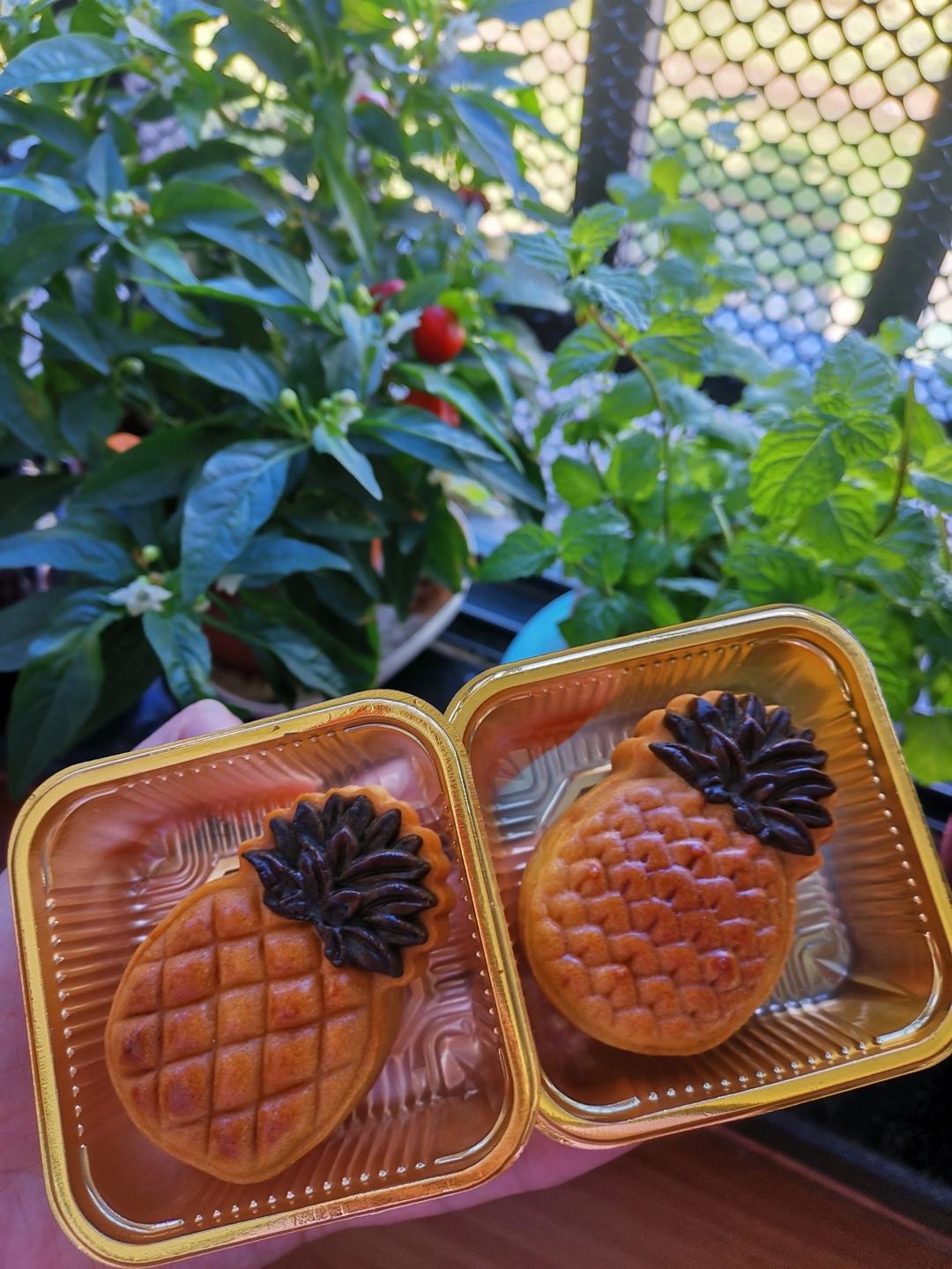 广式凤梨月饼（2020最火的款隔夜回油）