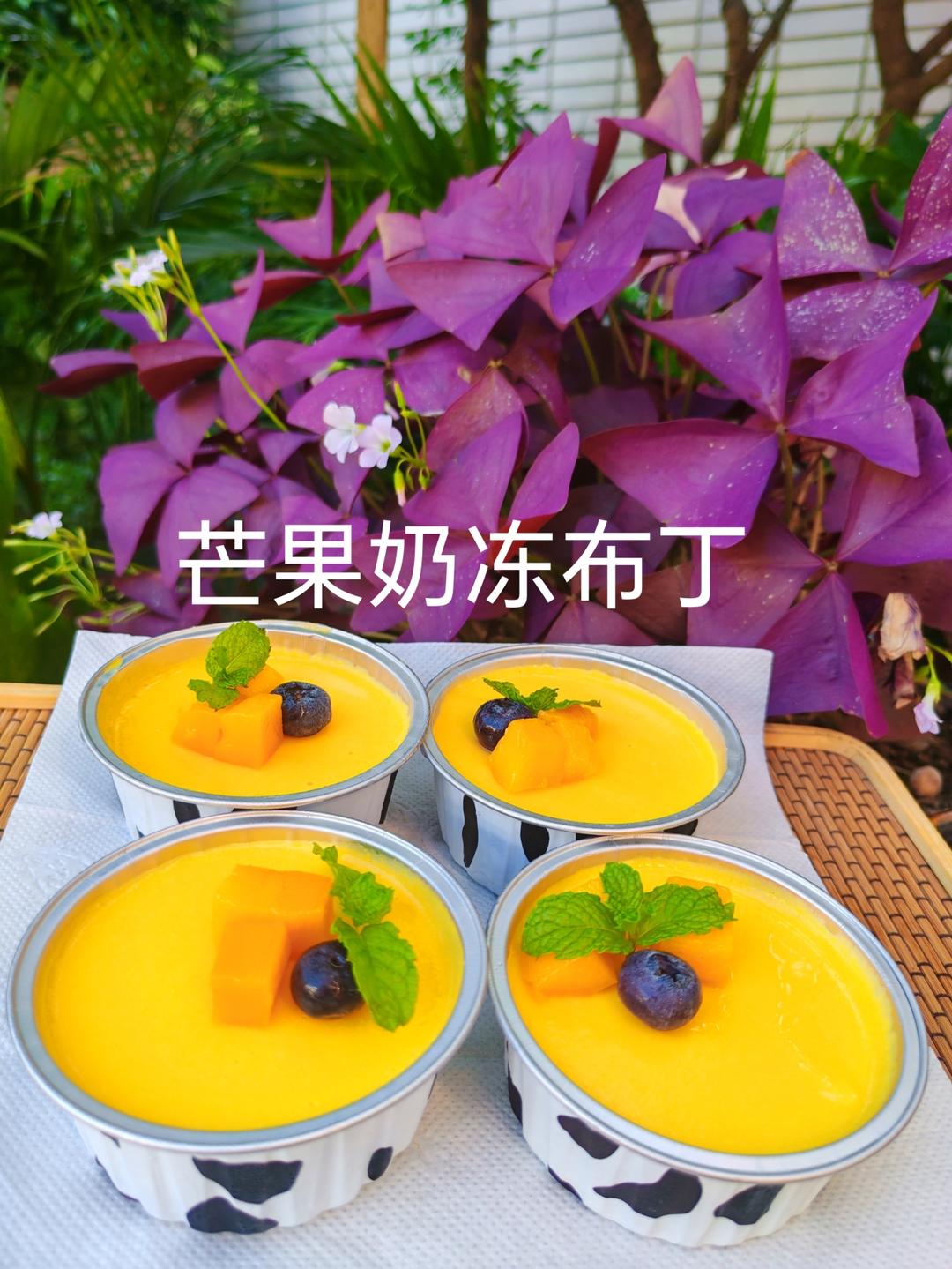 免烤箱❗🥭芒果奶冻布丁～搅一搅就能做～