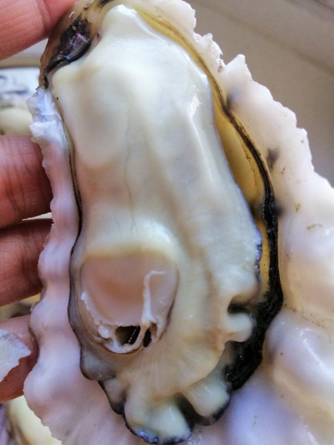 蒜蓉粉丝蒸生蚝