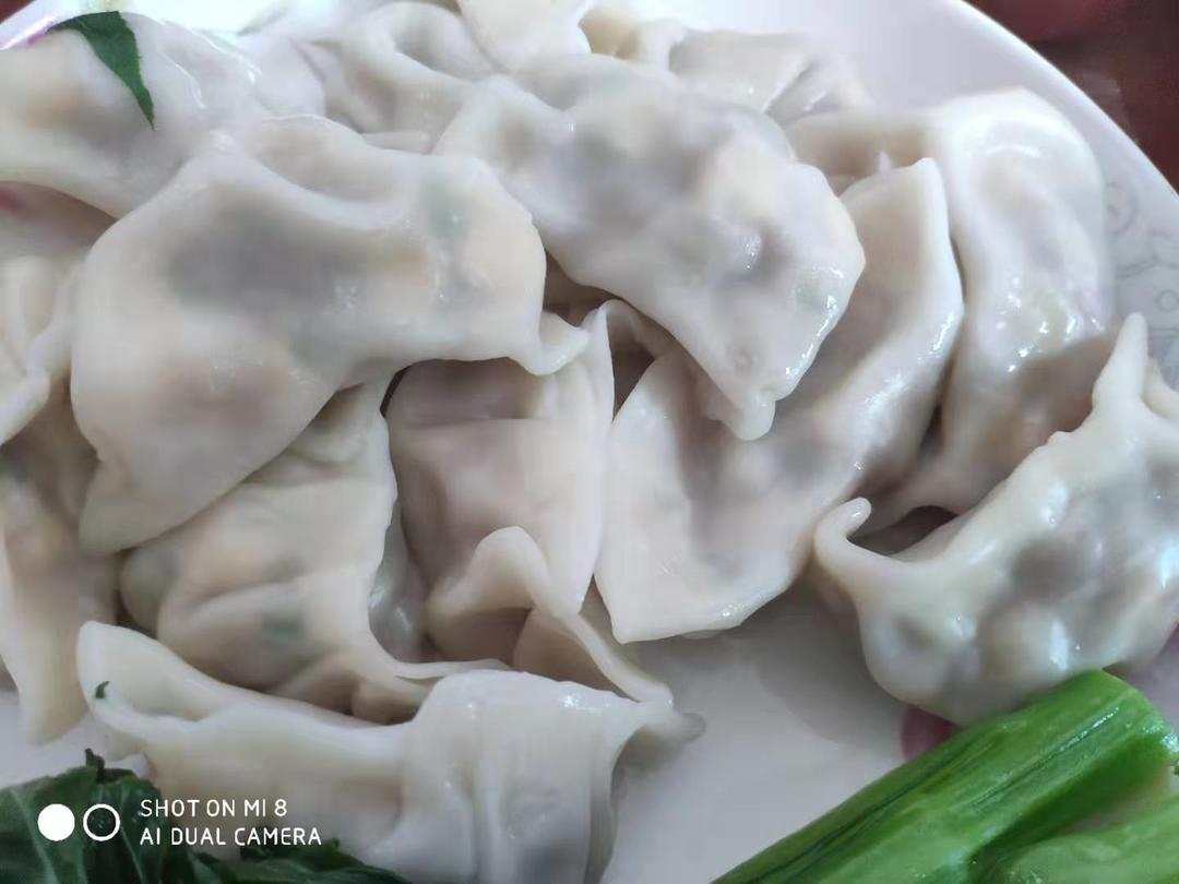 猪肉玉米饺子（附包法视频）