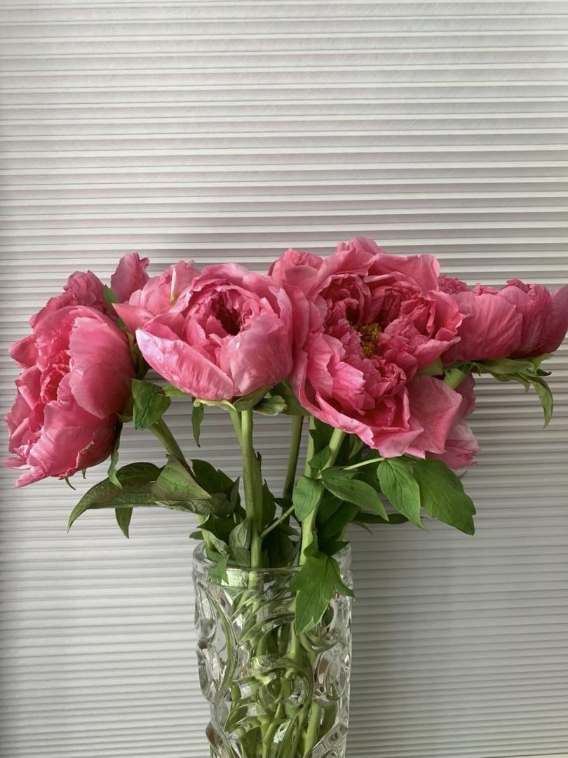 花花世界