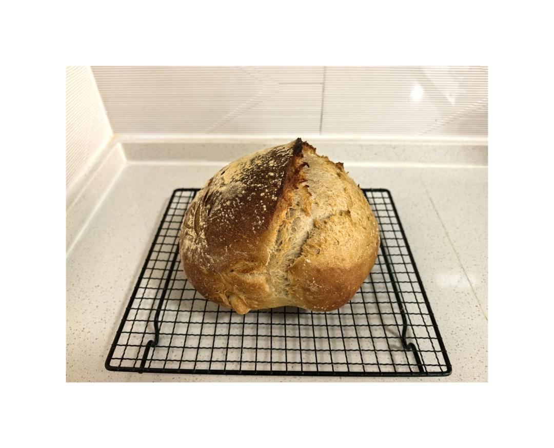 【外脆里软】小朋友都爱的无油无糖全麦酸奶乳清硬欧包乡村面包免手揉健身减脂