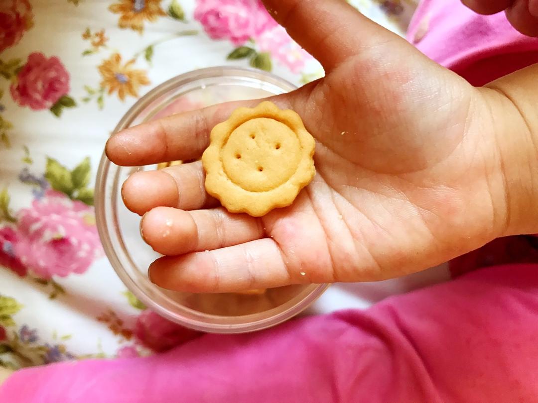 纽扣饼干┃萌到没朋友