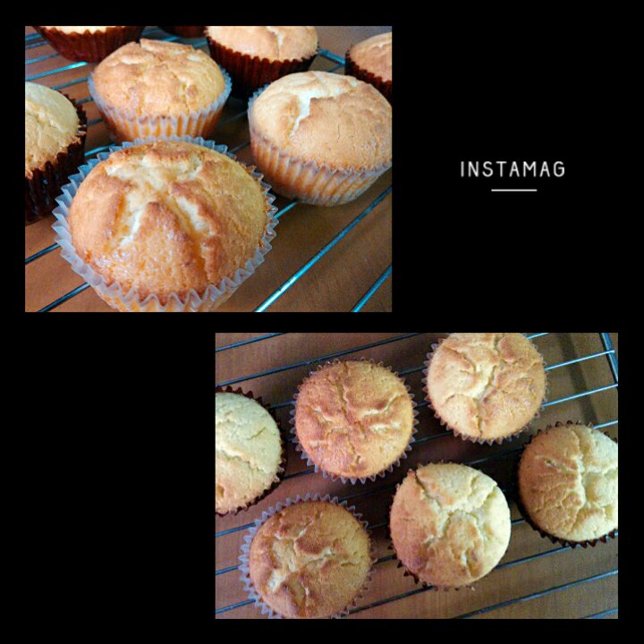 浓香奶酪玛芬蛋糕