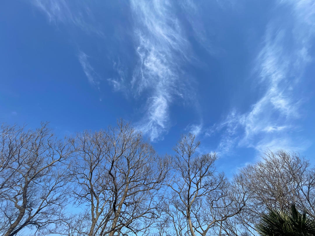 杏鲍菇炒牛肉  西兰苔炒胡萝卜木耳  嫩豆腐炒鸡蛋