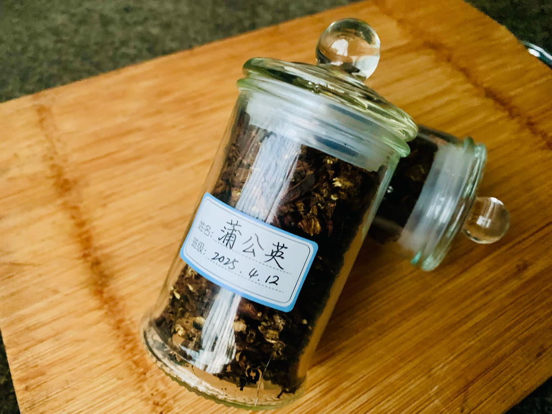 自制蒲公英茶