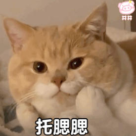 VivGong