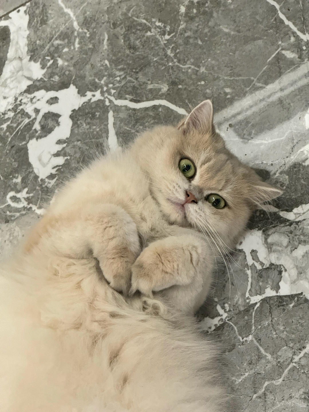 浮生小贝贝