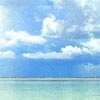梦若心莲_ril5的厨房