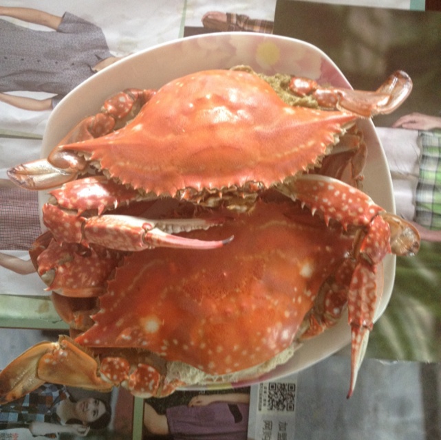 清蒸螃蟹
