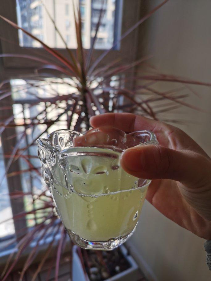 玉米须汁（利尿消水肿）破壁机版