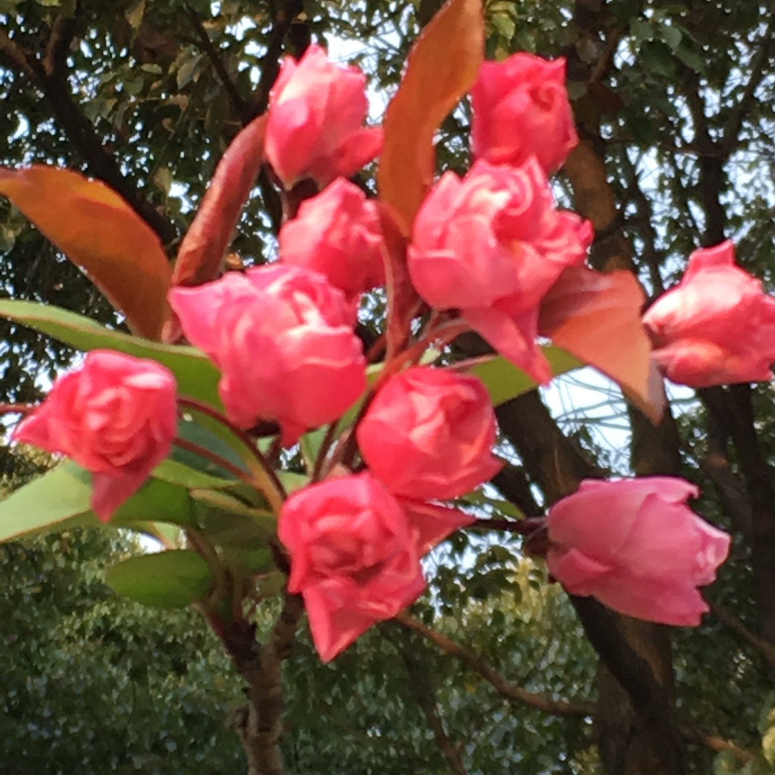 手机用户9002_5i3t