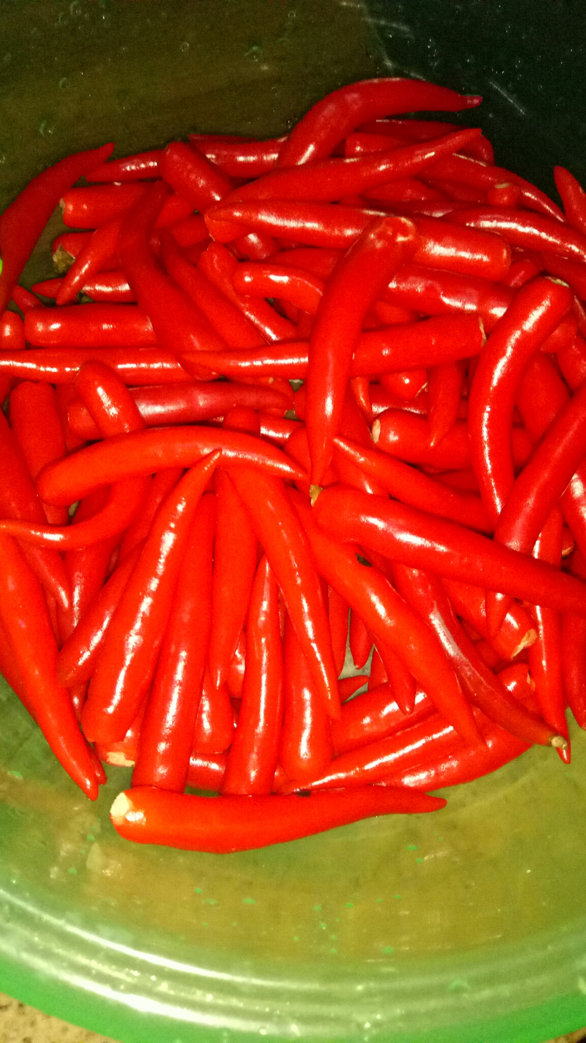 剁辣椒.自然发酵的做法 步骤2