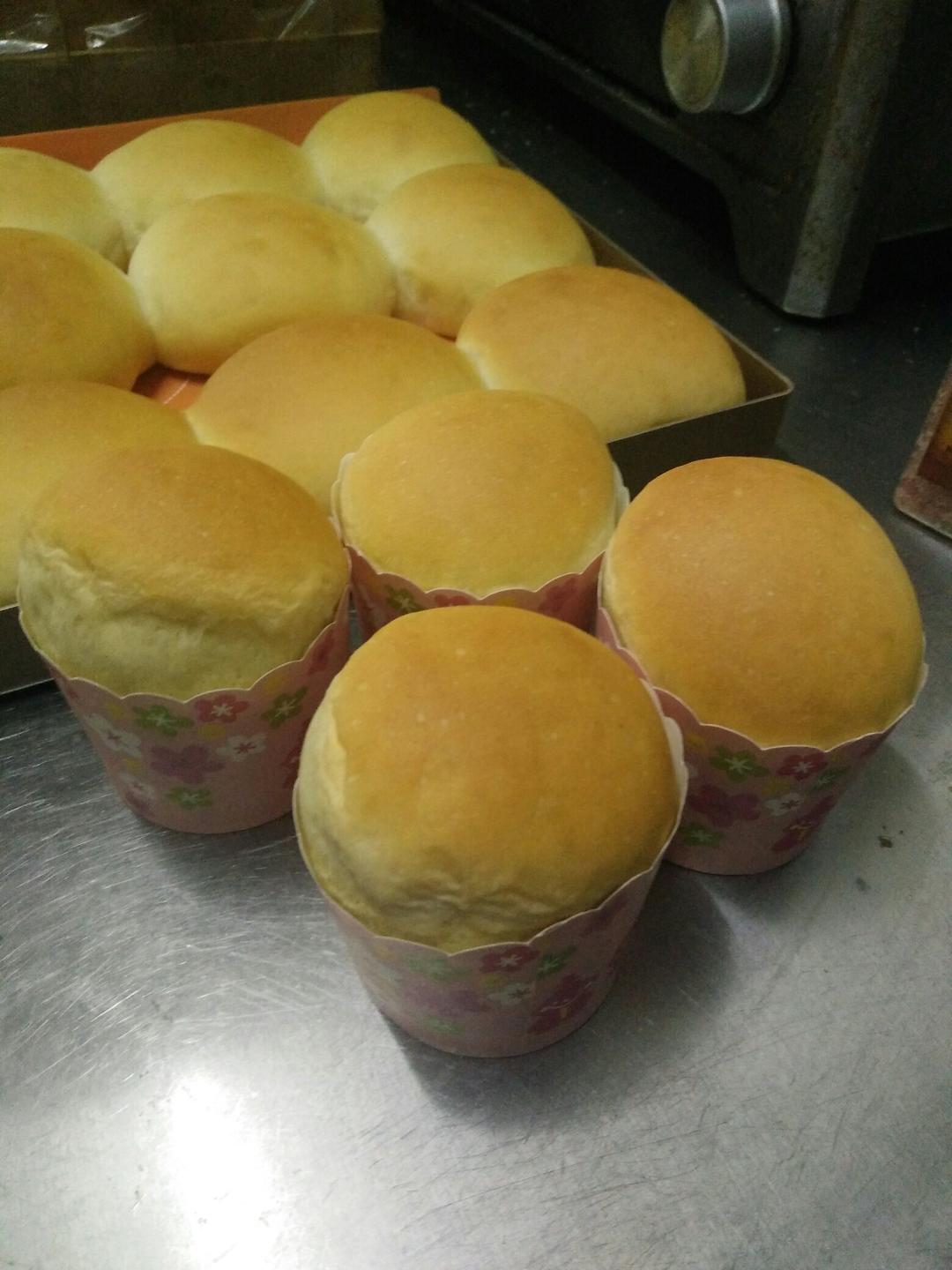 汉堡胚（中种法）
