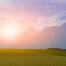 手机用户6013_7rx0