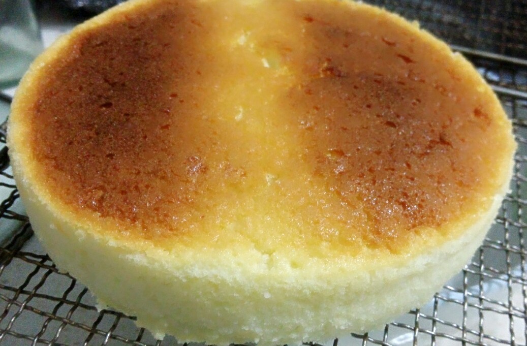 只用淡奶油做的乳酪蛋糕
