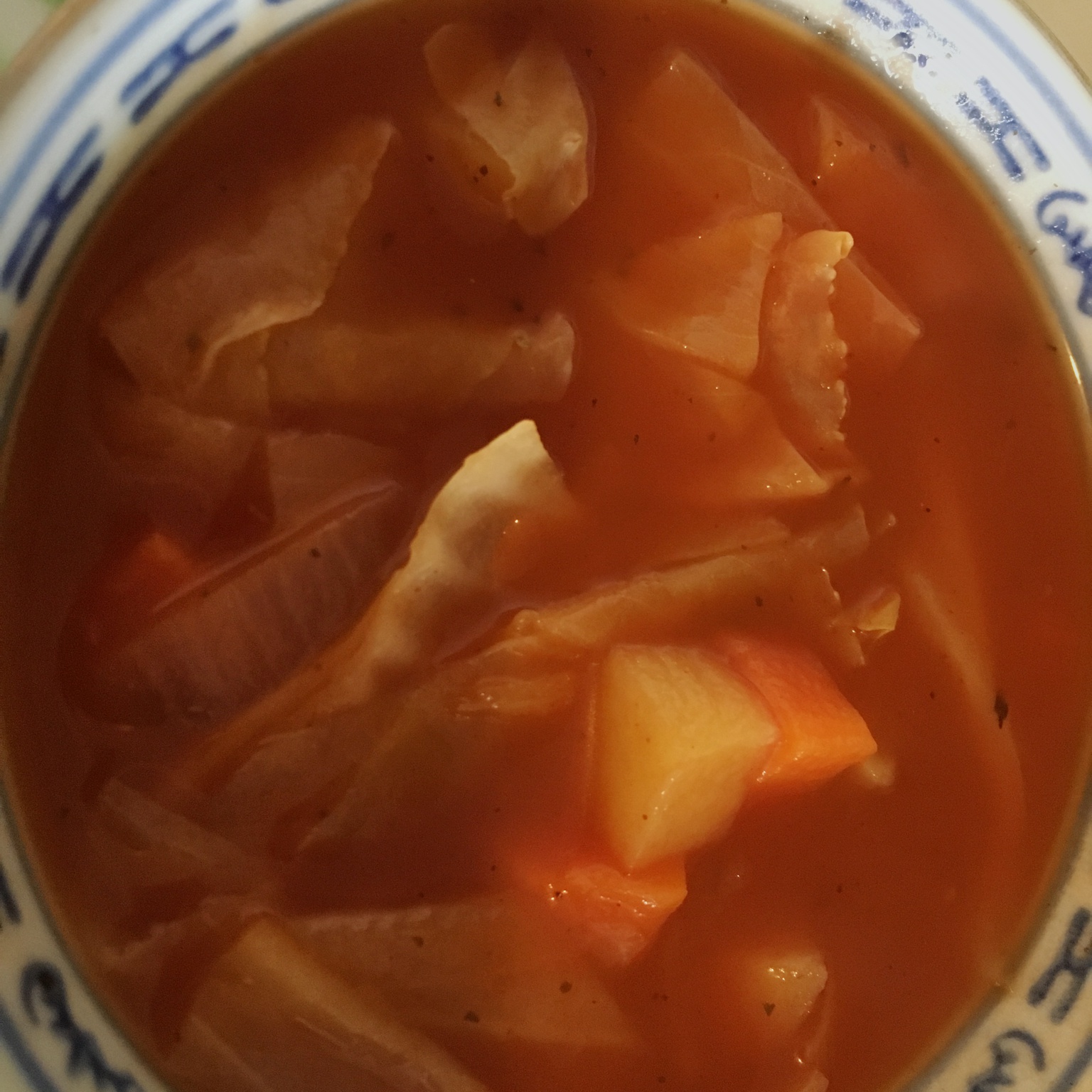 素食罗宋汤