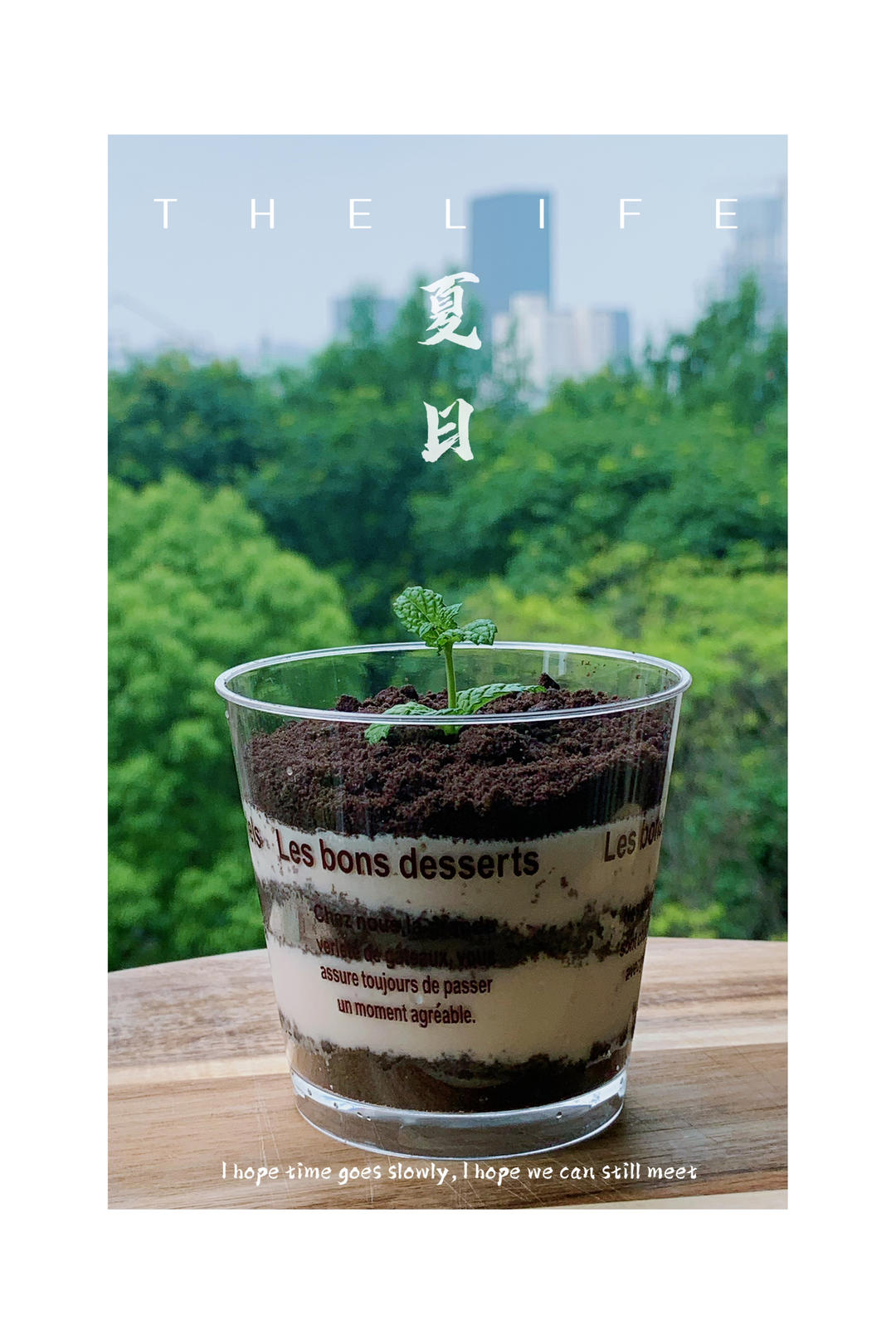 木糠杯——适合小白做的甜品