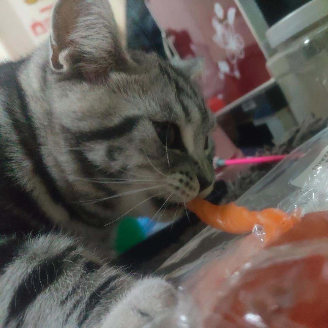 小凡凡有精神病