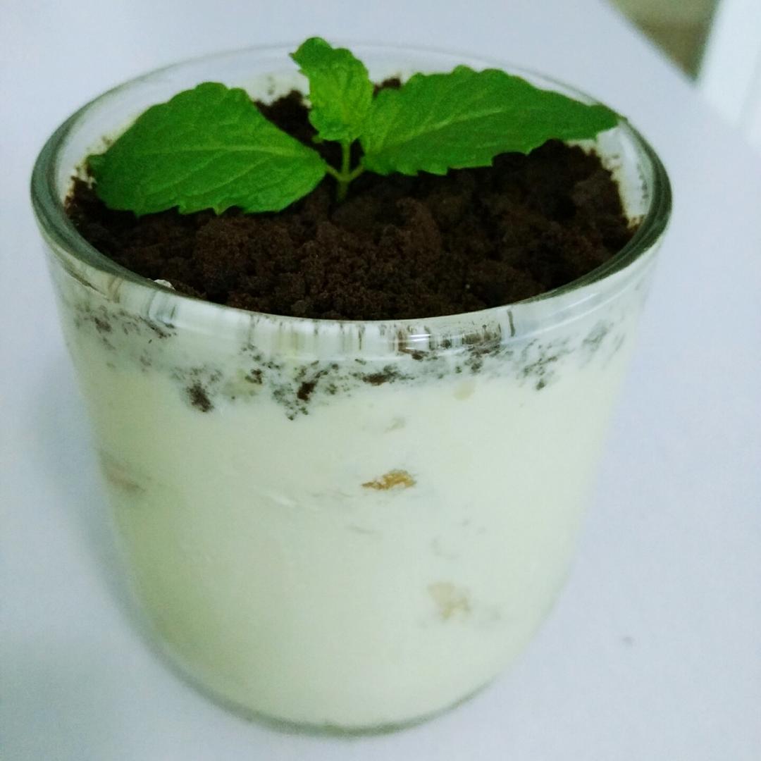 懒懒夏日小清新：奥利奥盆栽燕麦