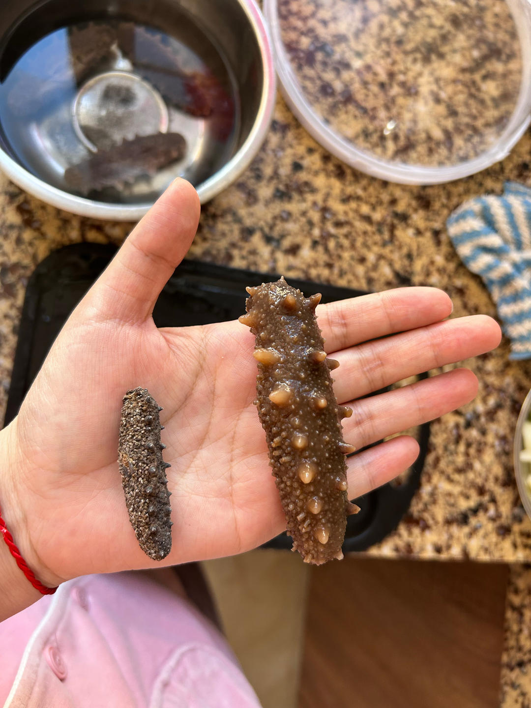 海参的泡发