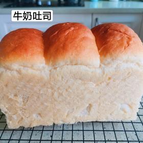 北海道牛奶土司(中种法)