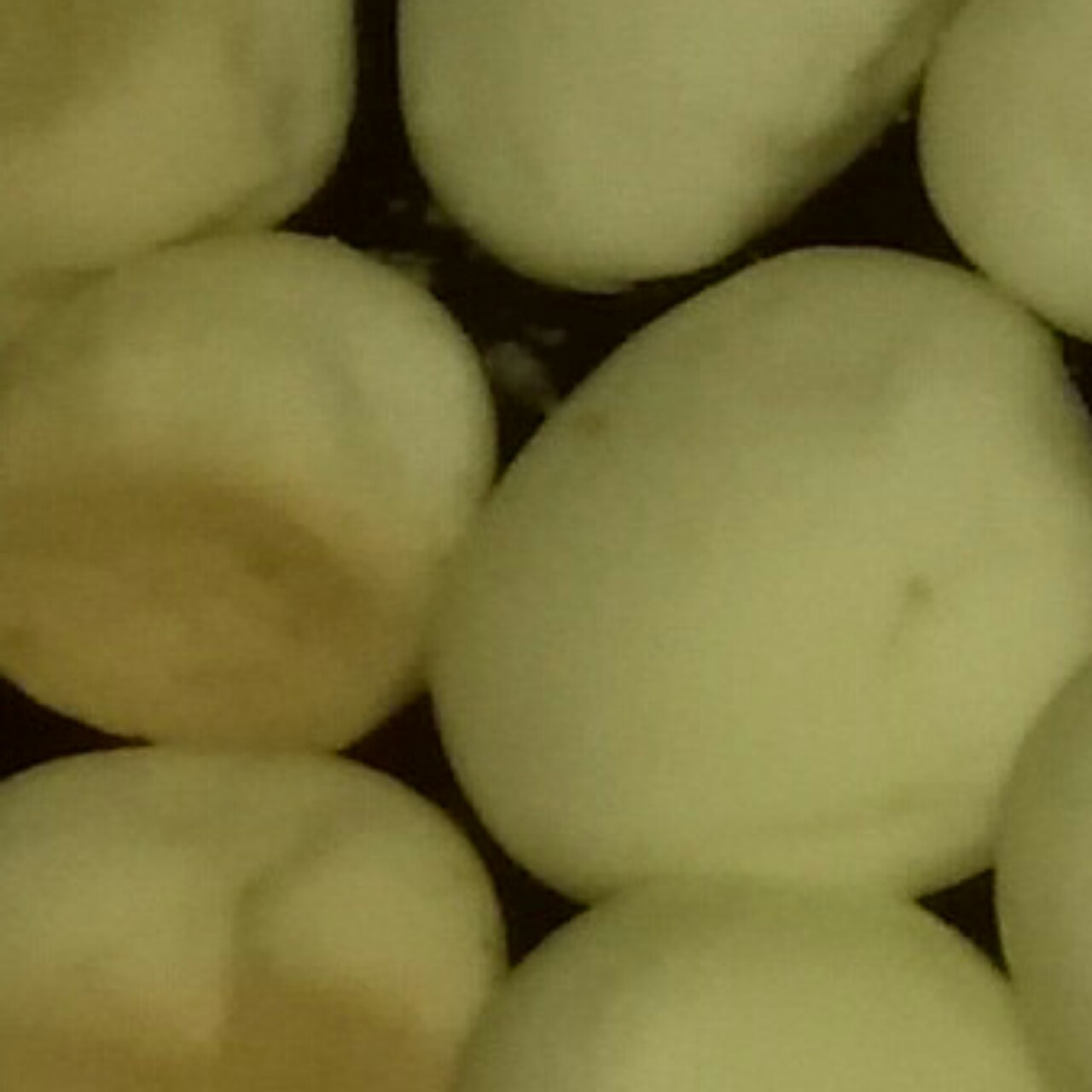 堪比旺仔小馒头