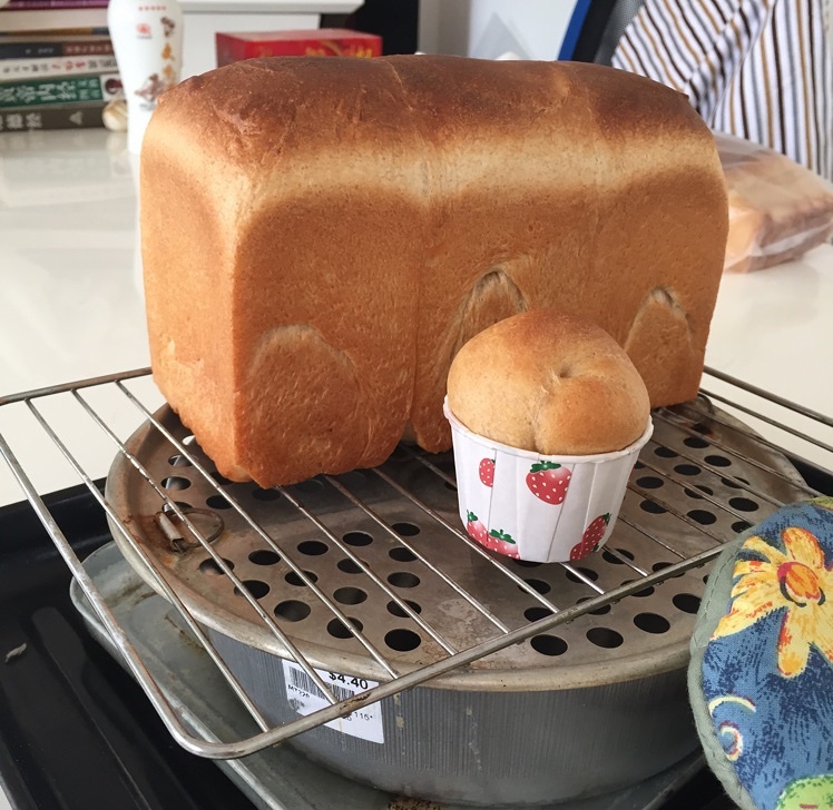 全麦巨蛋面包 （面包机和面，只用一次发酵哦～～）