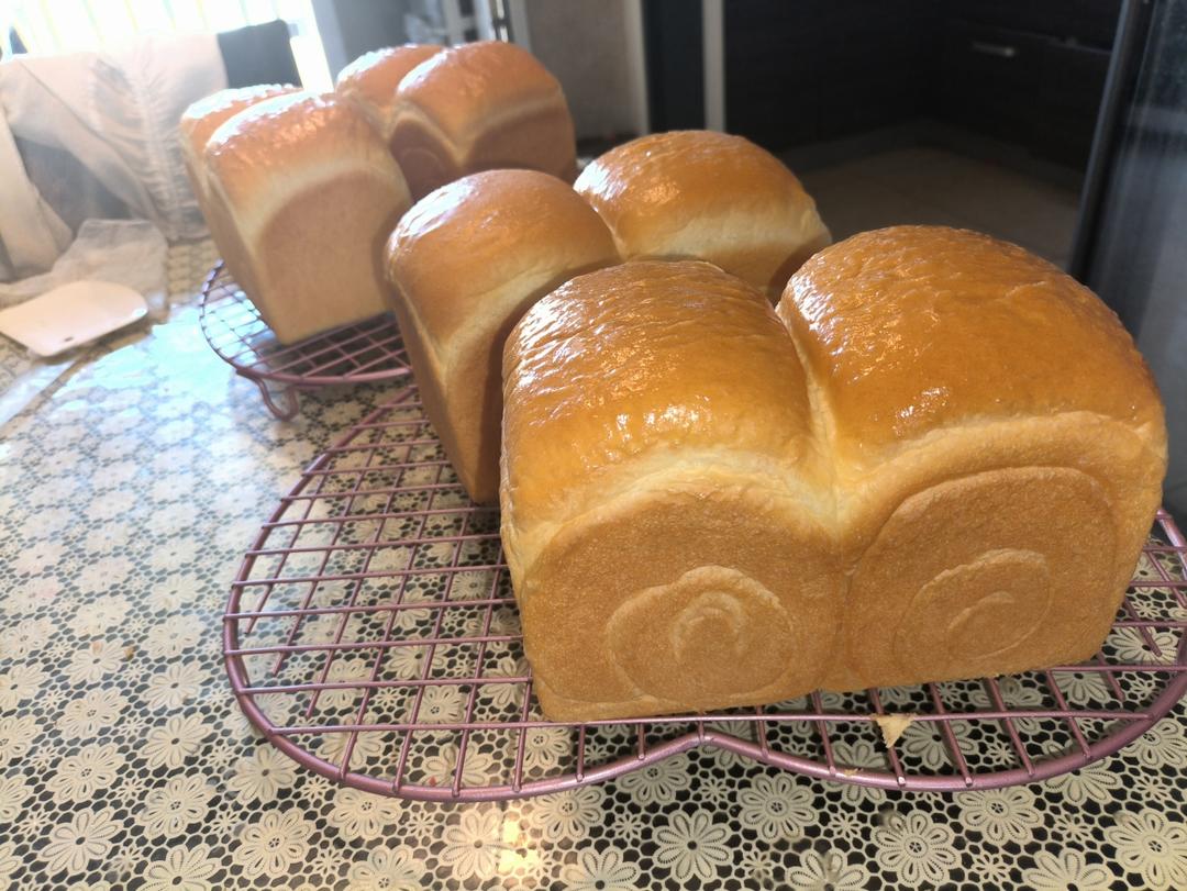牧场鲜奶吐司🍞｜一次发酵｜吴克己老师经典吐司