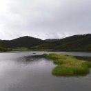 爱吃榛子的小蚂蚁