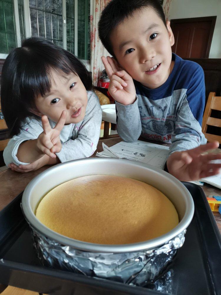 轻乳酪蛋糕（结合多位大师的方子）