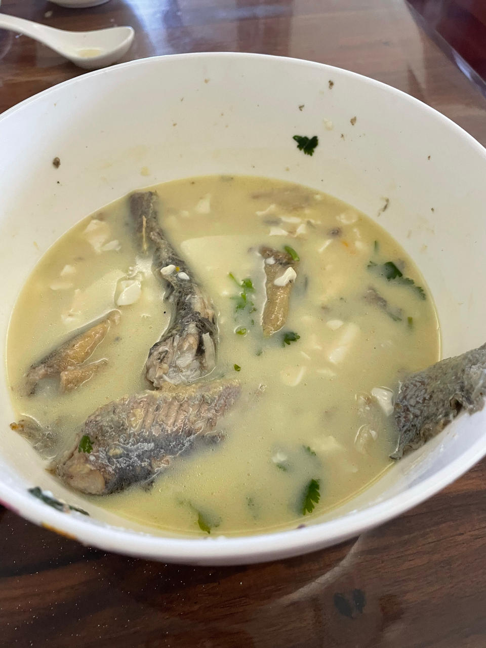 泥鳅炖豆腐（小贴士附杀泥鳅方法）