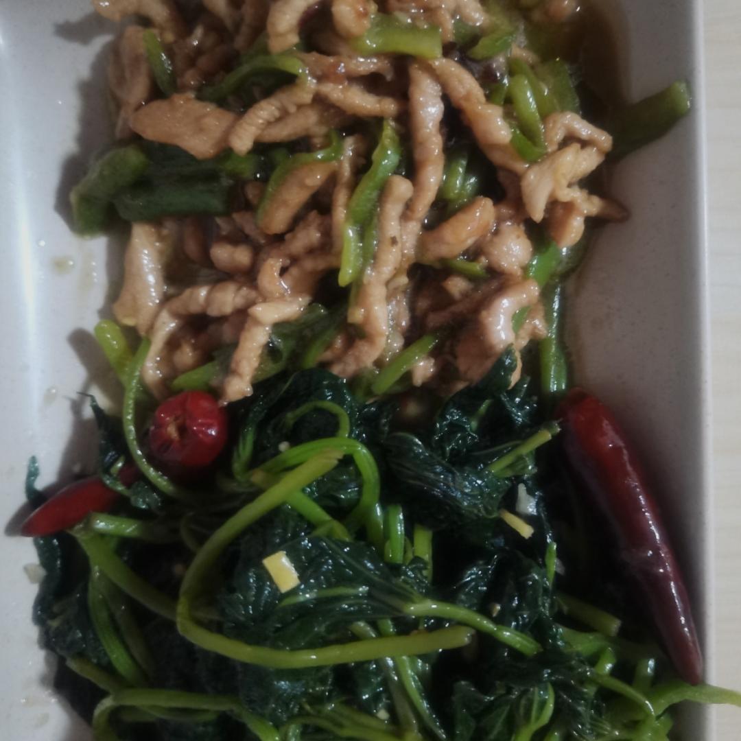 ‼️好吃到舔盘的青椒肉丝盖浇饭