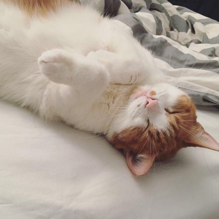 读法学院不如学厨