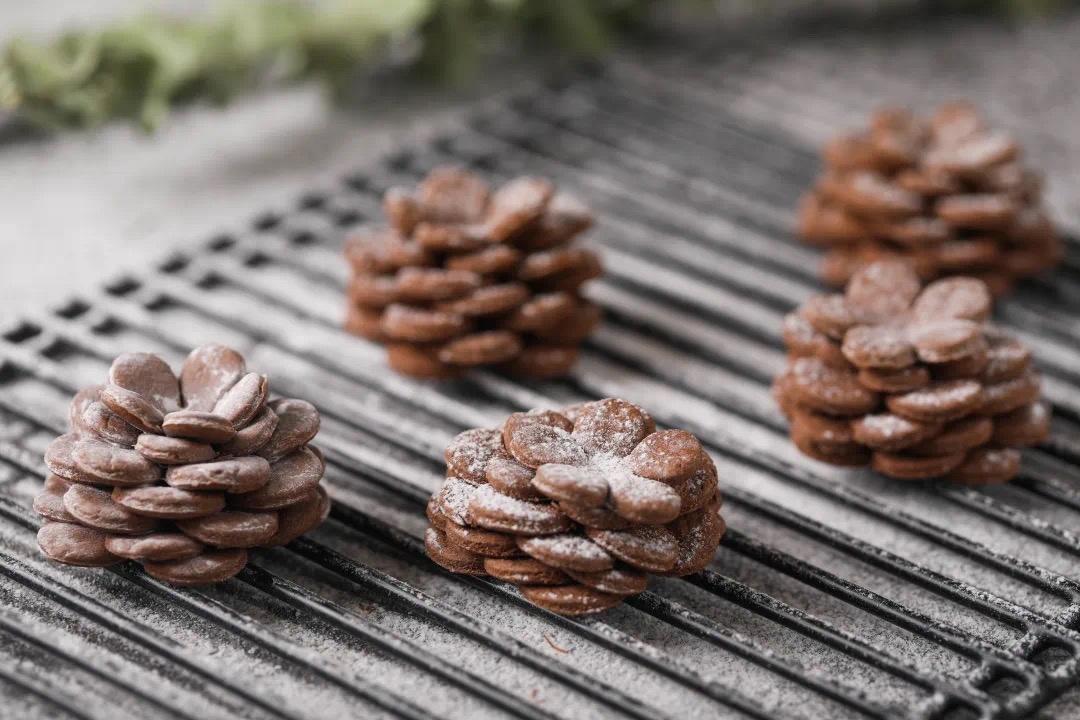 巧克力松果饼干🍪的做法
