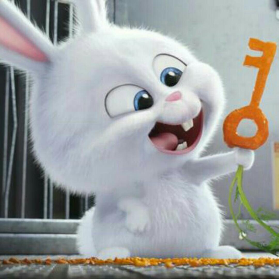 快乐的土豆丸子