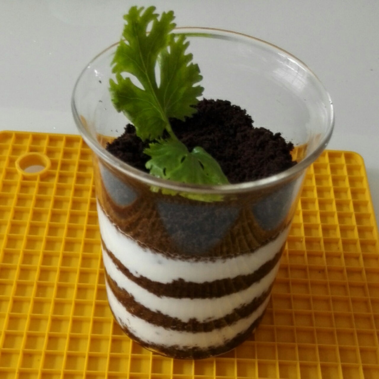 奥利奥酸奶盆栽