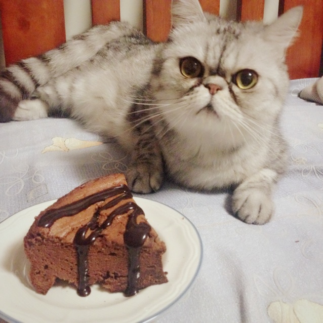 巧克力戚风蛋糕